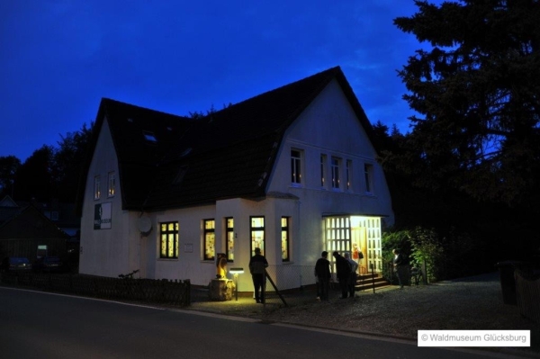 Waldmuseum Glücksburg